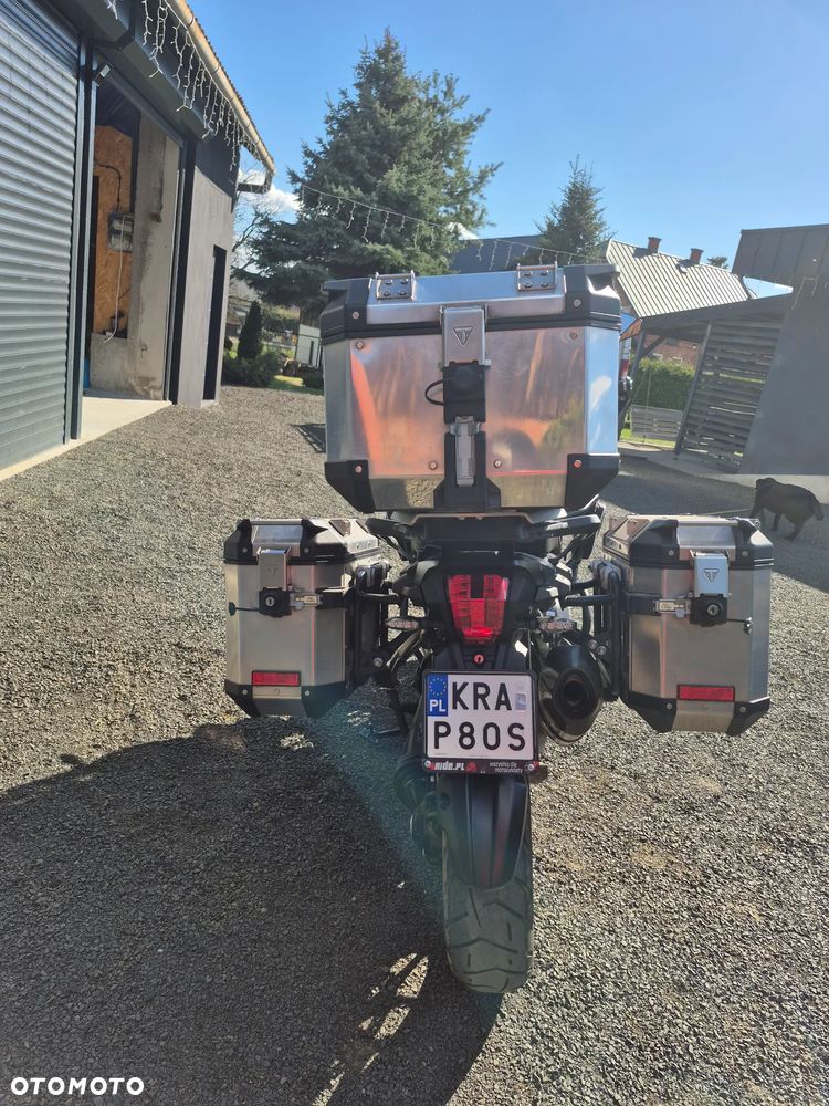 Triumph Tiger - 12