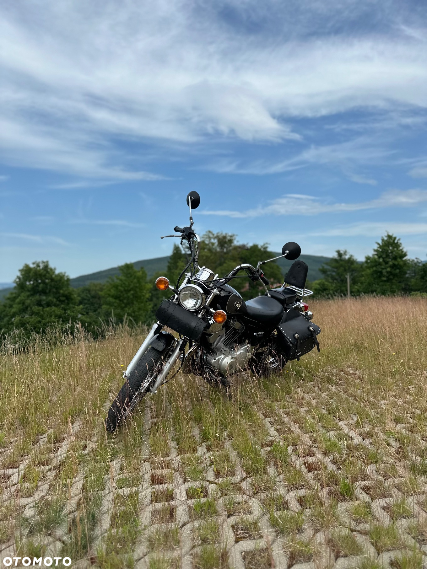 Yamaha Virago - 2