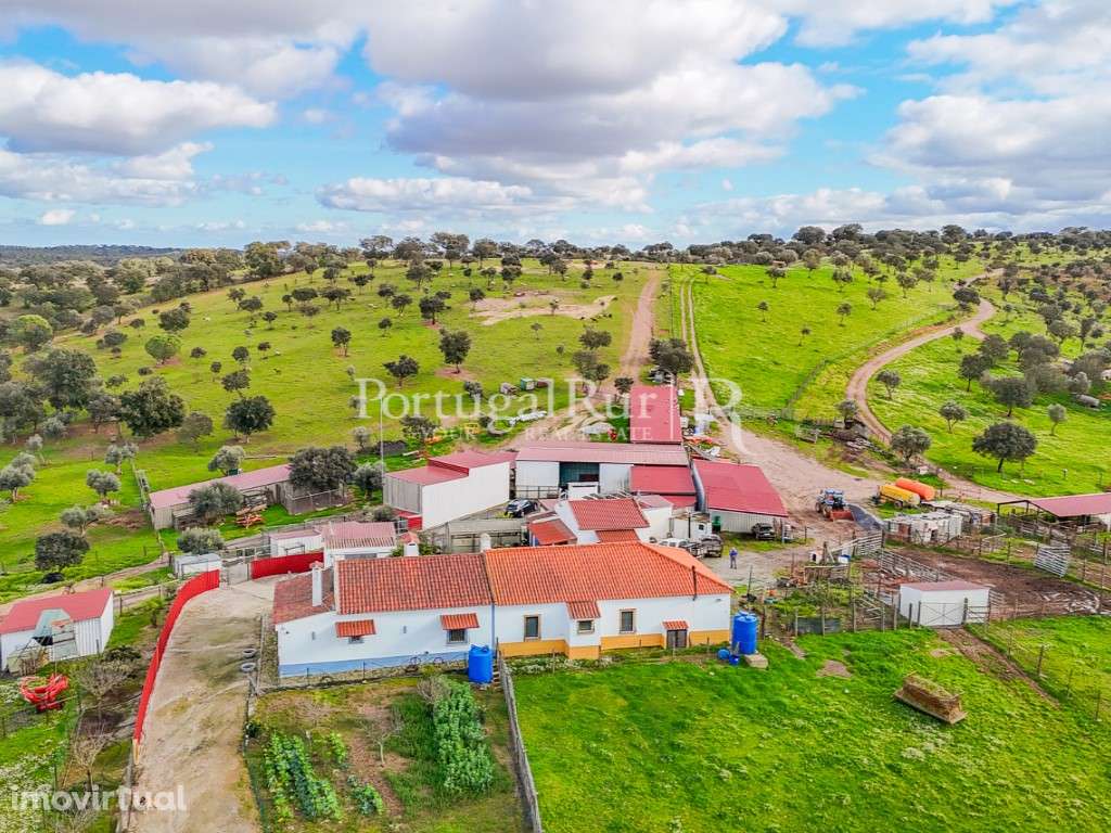 Herdade de 62 ha em Vendinha, Évora - Grande imagem: 2/47