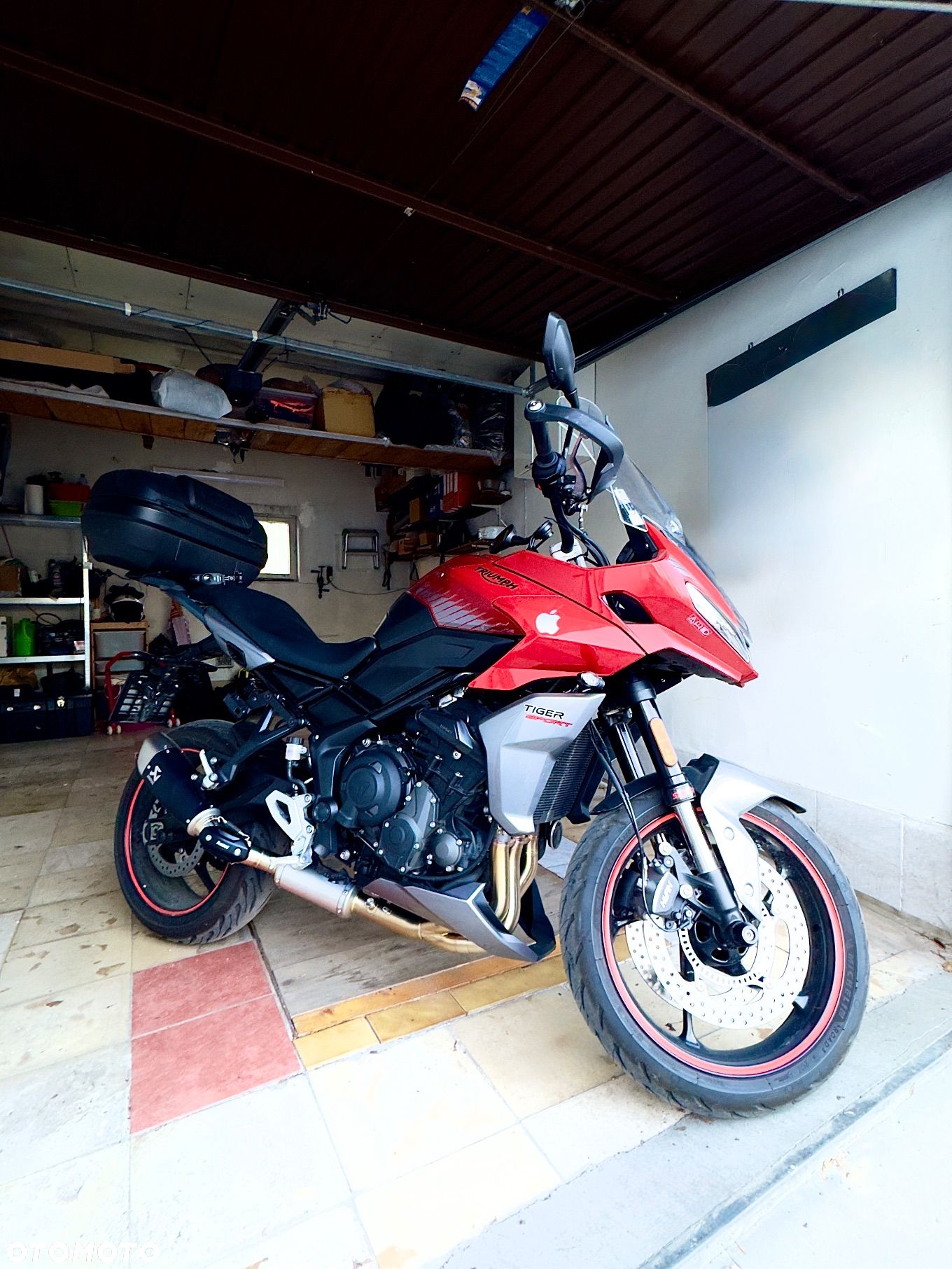 Triumph Tiger