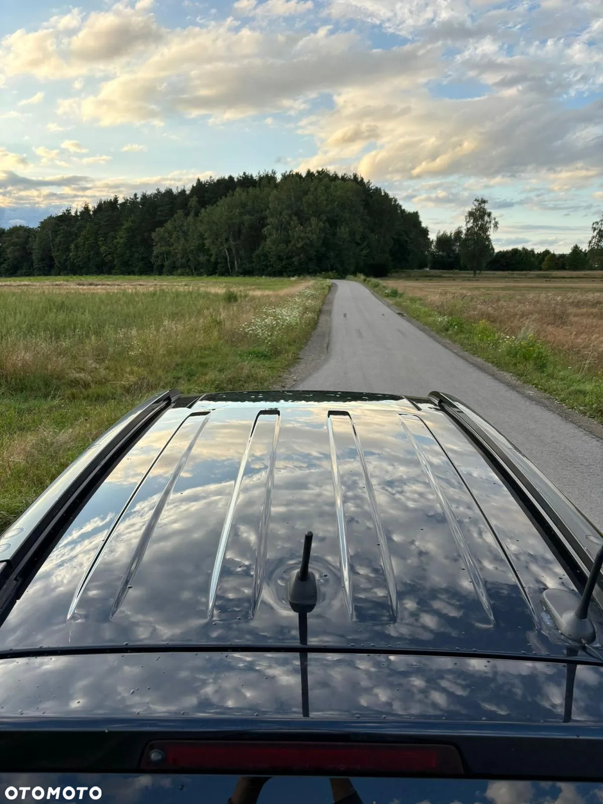 Suzuki Grand Vitara 1.9 DDiS - 16