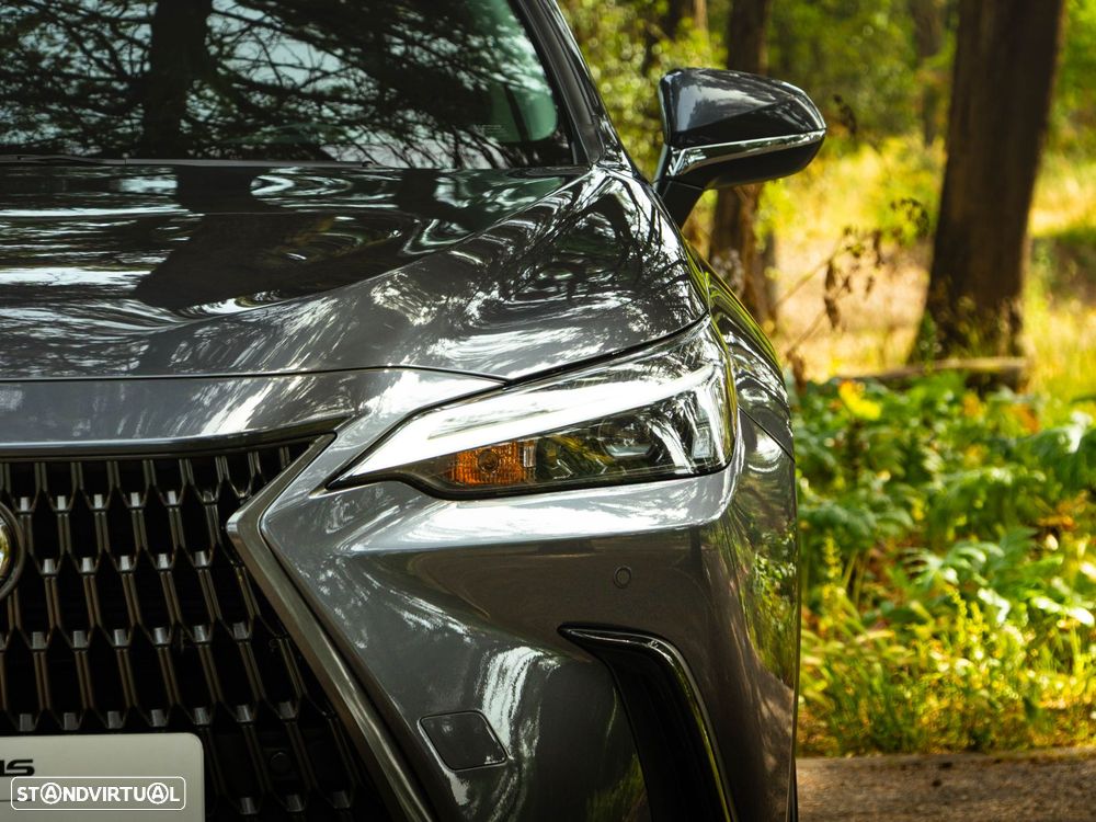 Lexus NX 450h+ Executive - 19