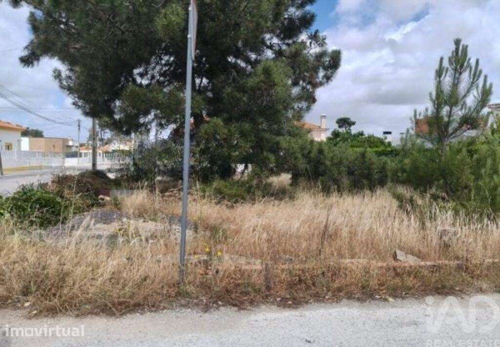 Terreno em Azeitão - Grande imagem: 4/9