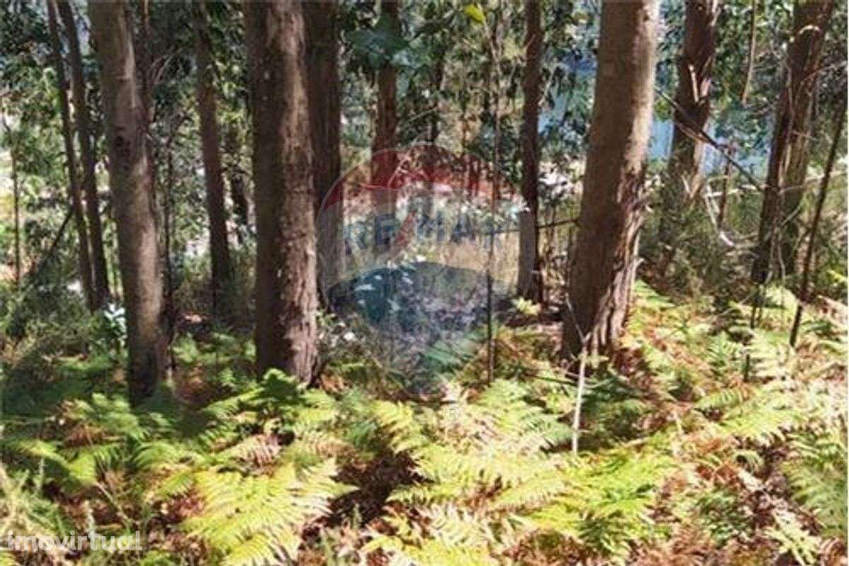 Terreno T0 para venda - Grande imagem: 2/6