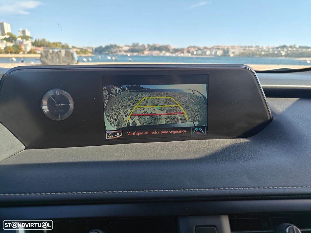 Lexus UX 250h Special Edition (LCA) - 19