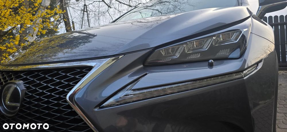 Lexus NX 200t F Sport AWD - 11