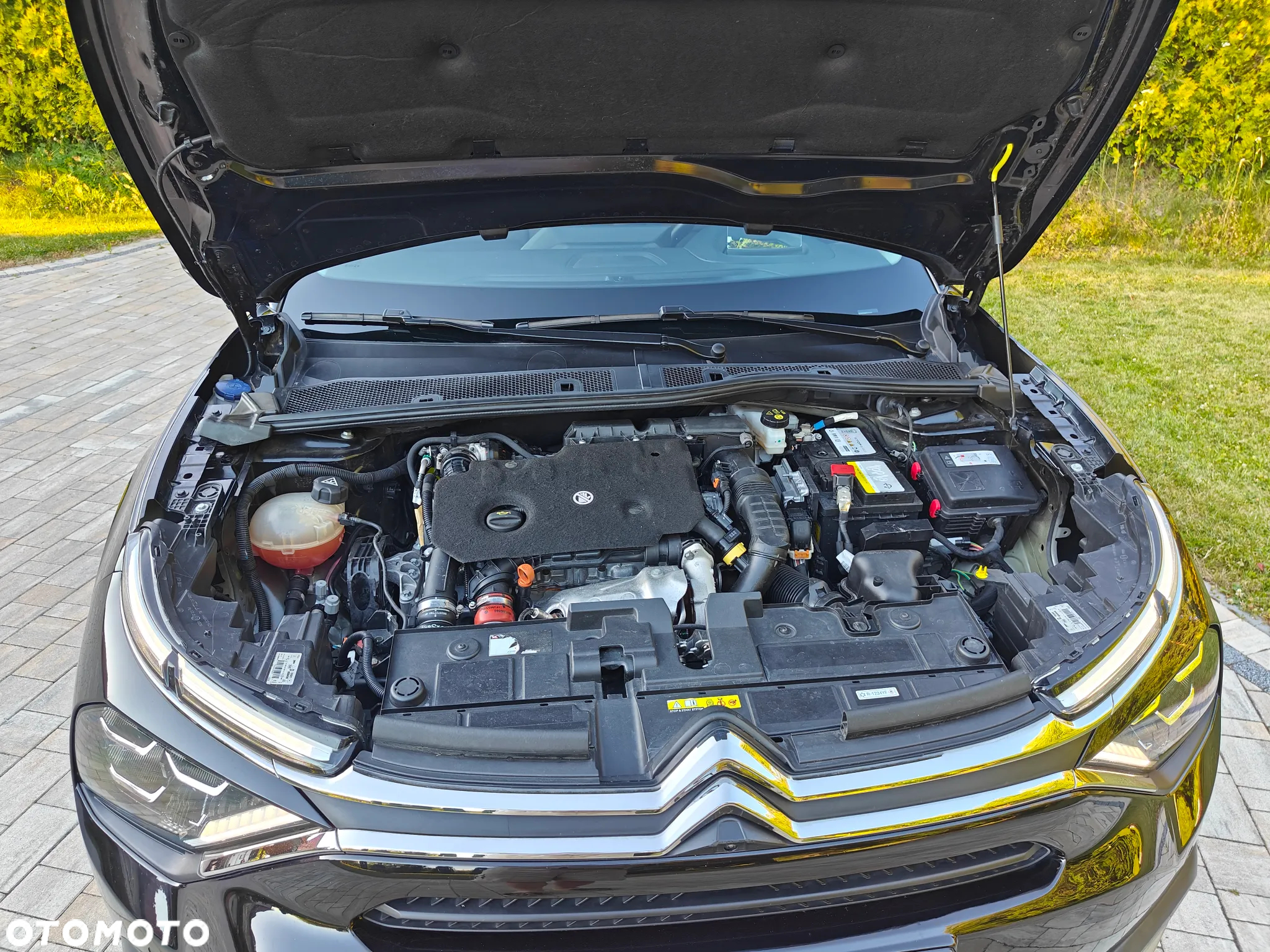 Citroën C4 BlueHDi 130 Stop&Start EAT8 SHINE - 38