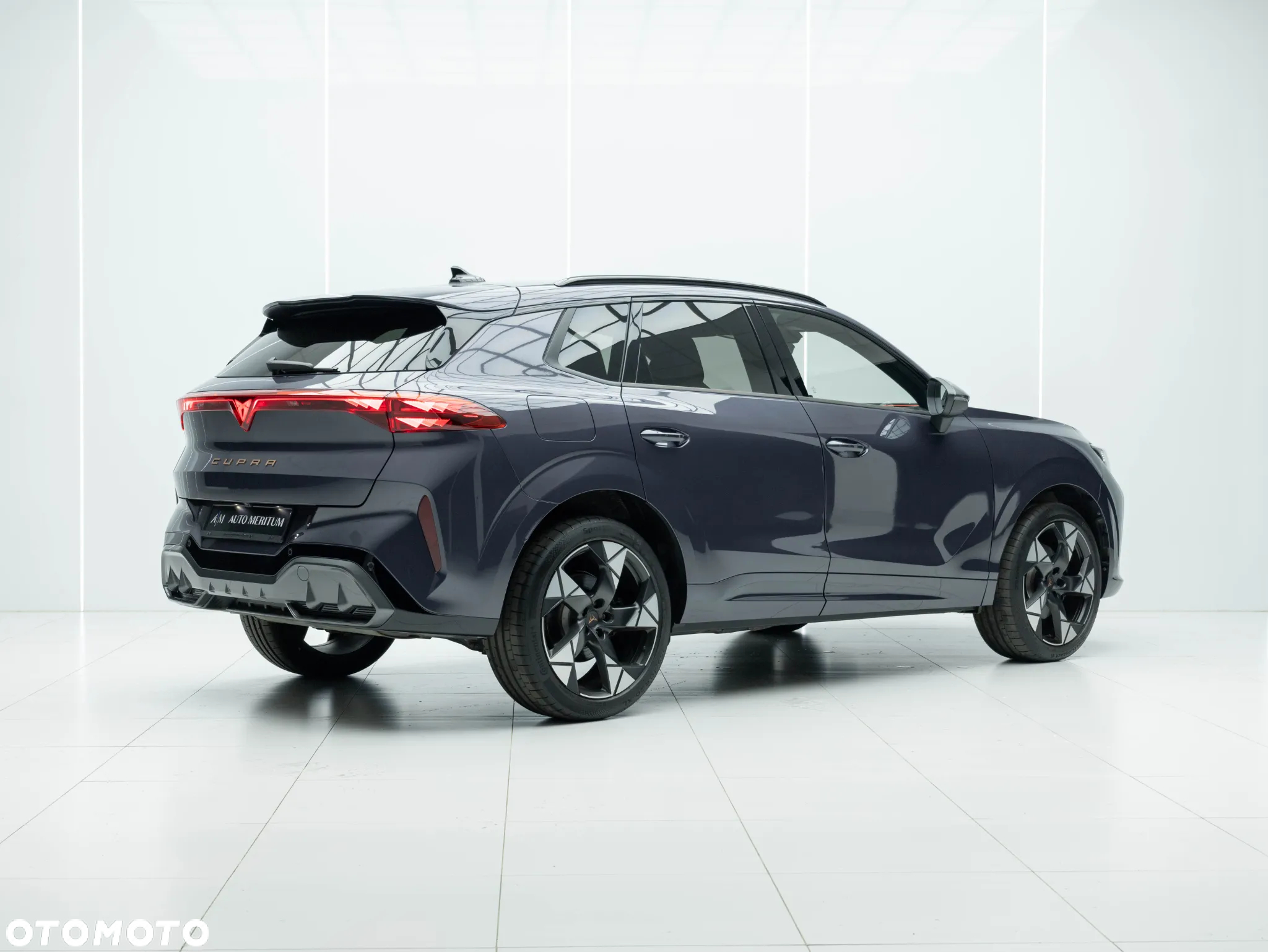 Cupra Terramar 2.0 TSI 4Drive DSG VZ - 7