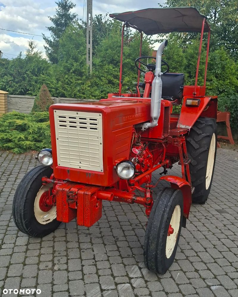 Belarus WŁADIMIREC RUSKI T-25 - 14