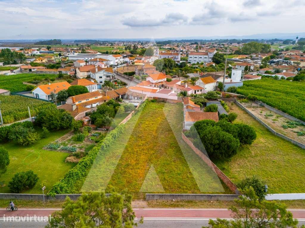 Terreno construção moradia - Murtosa - Ria de Aveiro - Grande imagem: 3/16