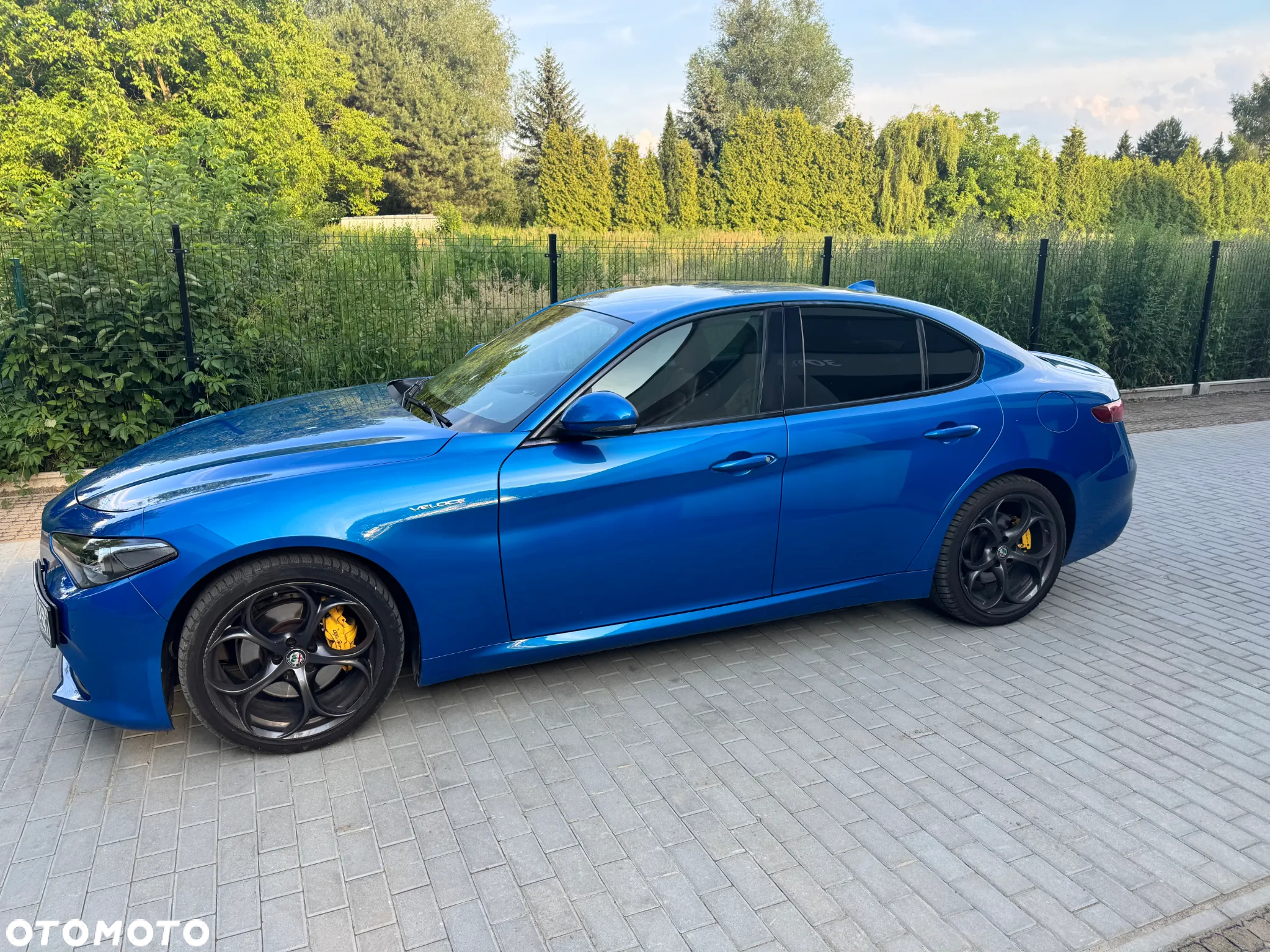 Alfa Romeo Giulia 2.0 Turbo Veloce Q4 - 2