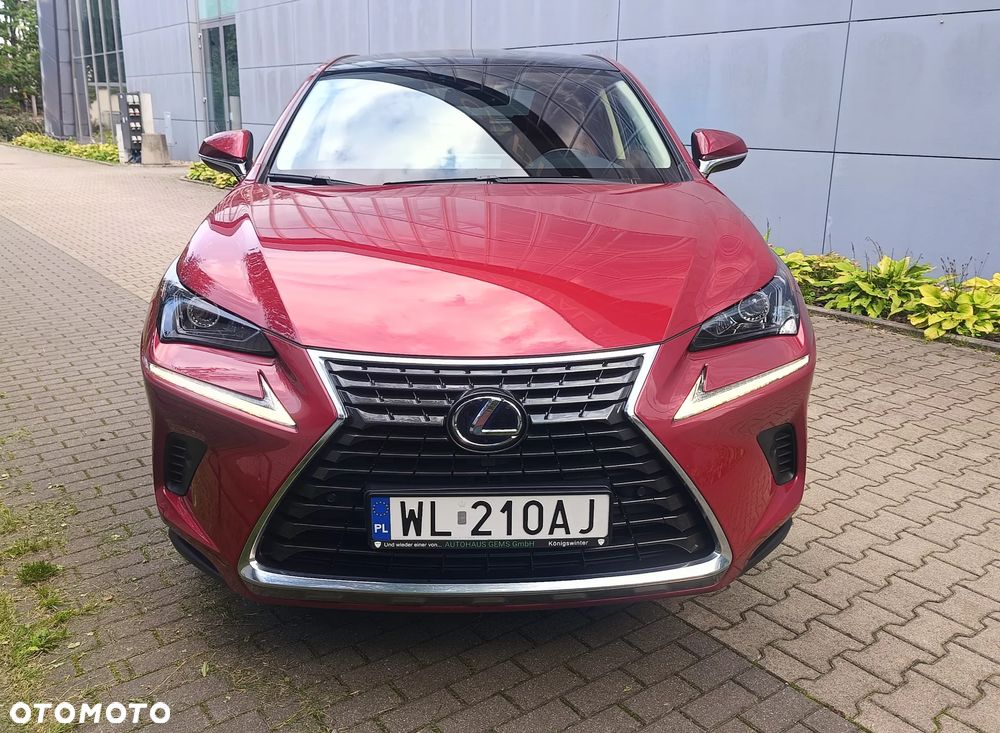 Lexus NX - 13
