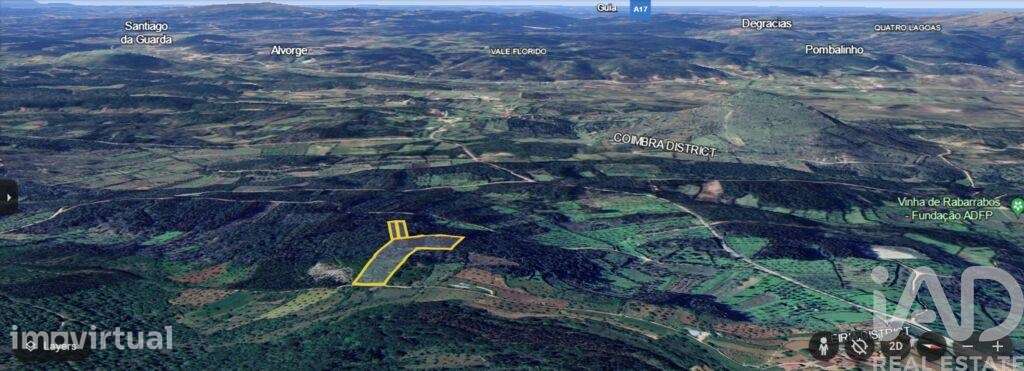 Terreno Agrícola em Alvorge de 7090,00 m2 - Grande imagem: 5/9