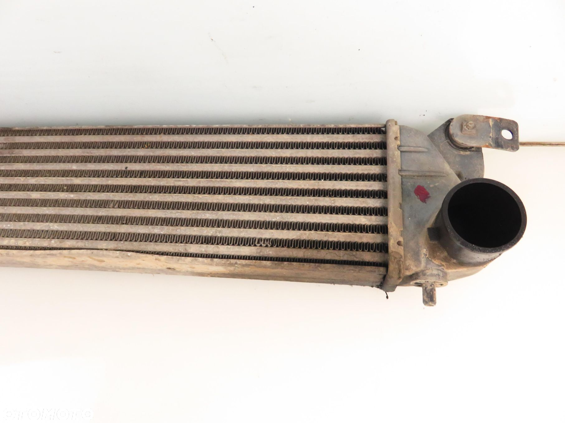 INTERCOOLER SUZUKI SX4  1.9 DDiS 4x4  - D19AA 1362079J50 - 12
