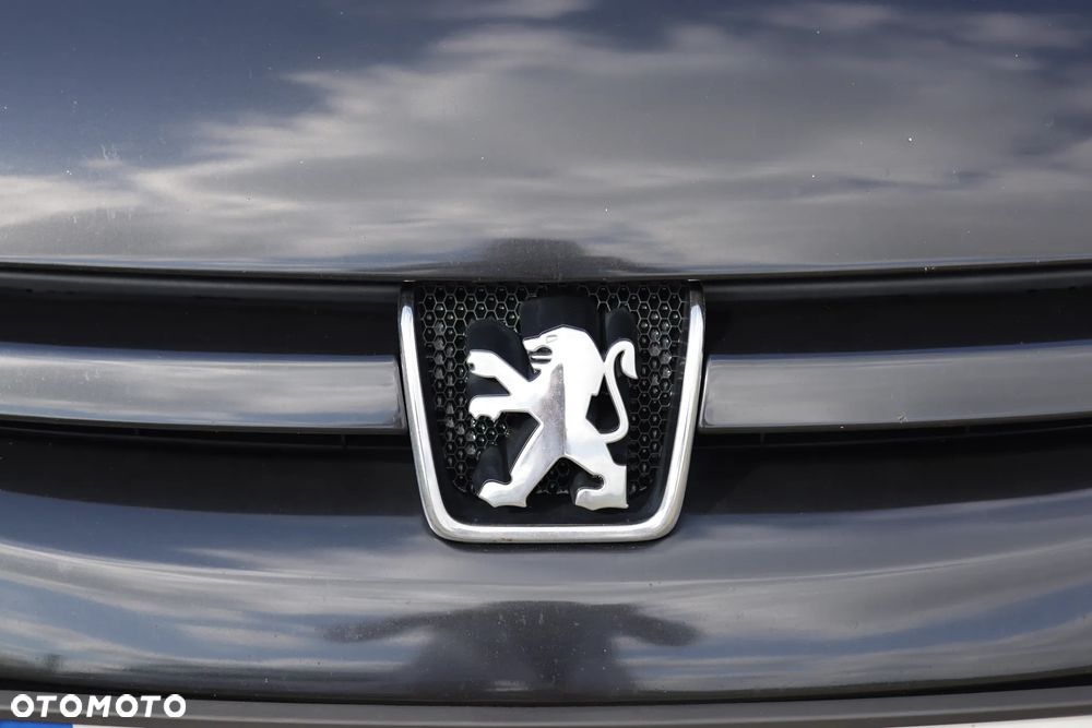 Peugeot 307 2.0 Mistral - 12