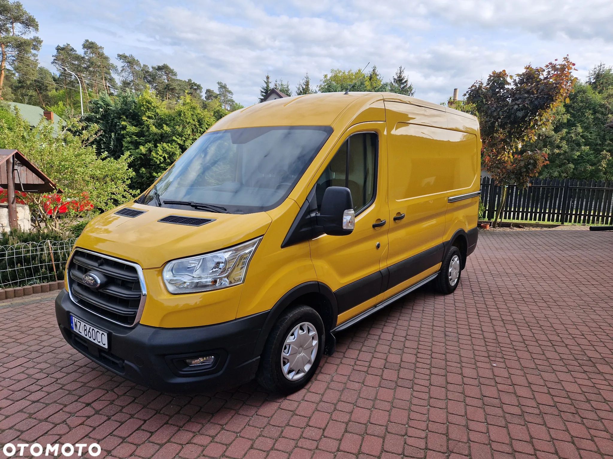 Ford Transit - 1