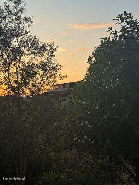Moradia T5 independente com 4 hectares - Grande imagem: 4/7