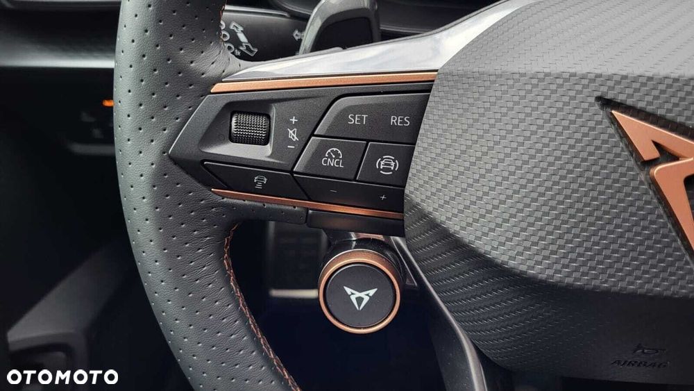 Cupra Formentor - 19