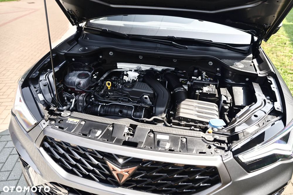 Cupra Ateca - 18