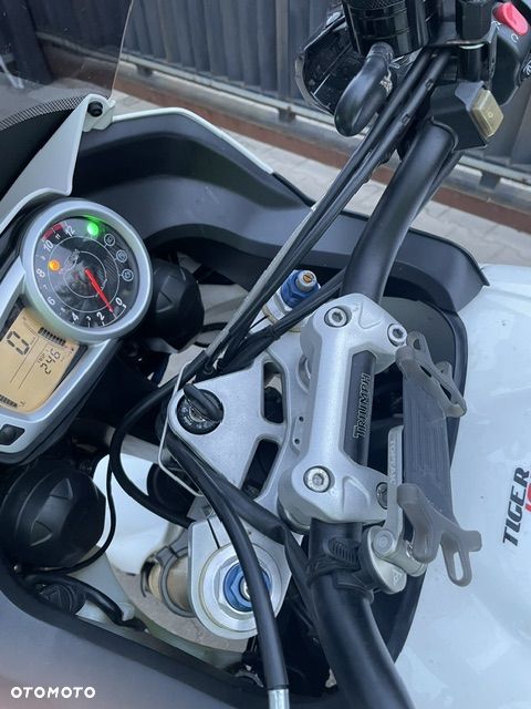 Triumph Tiger - 16