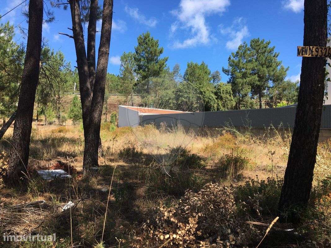 Terreno  para venda - Grande imagem: 3/11
