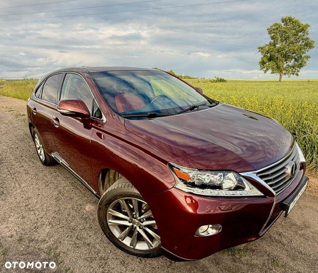 Lexus RX - 17