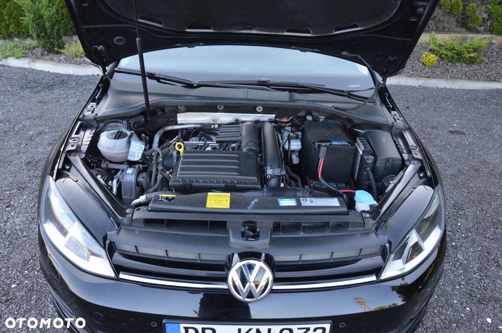 Volkswagen Golf - 37
