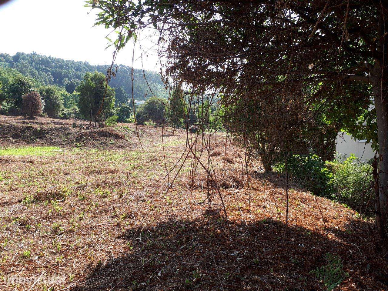 Terreno para construção com 24.000m2, face EN222 Arcos Sardão. - Grande imagem: 3/20