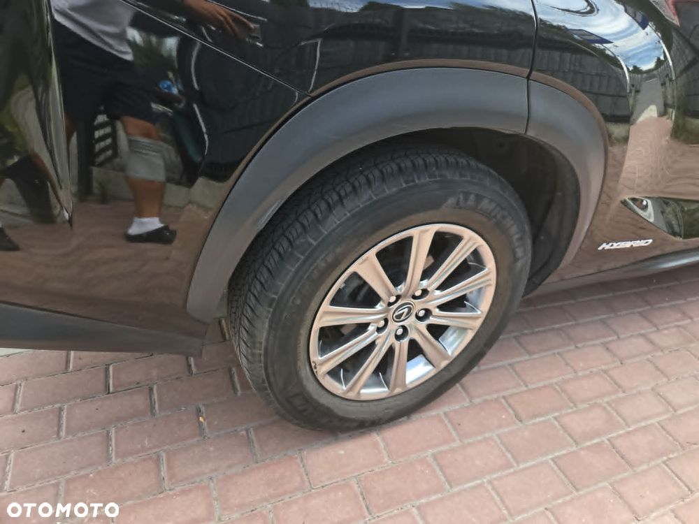 Lexus NX - 10