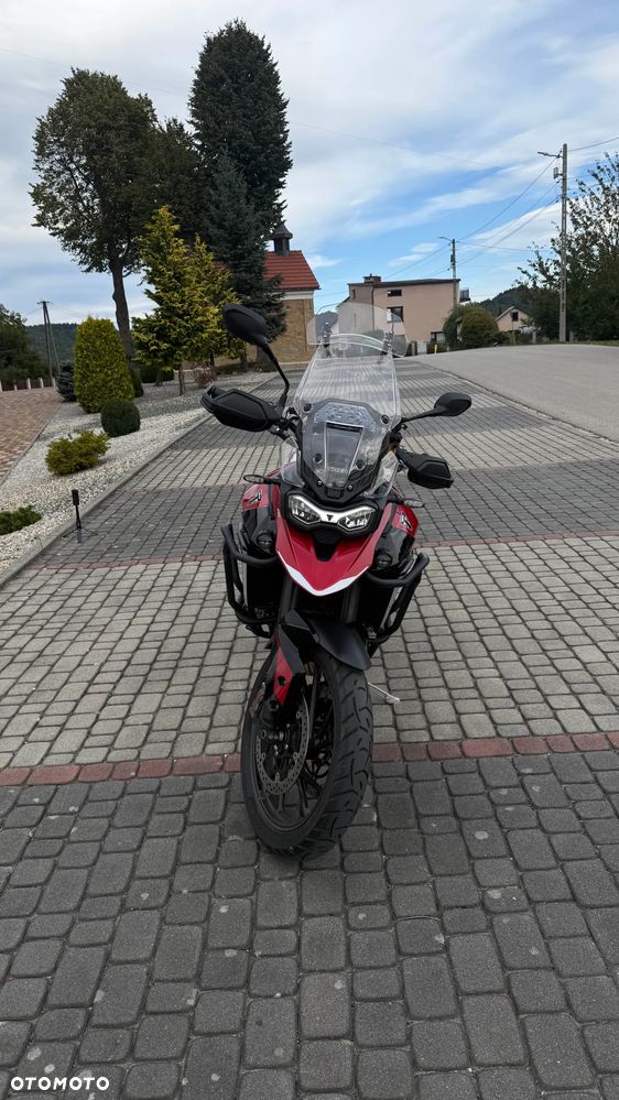 Triumph Tiger - 6