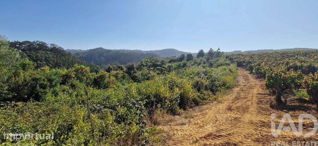 Terreno Agrícola em Azueira e Sobral da Abelheira - Grande imagem: 3/33