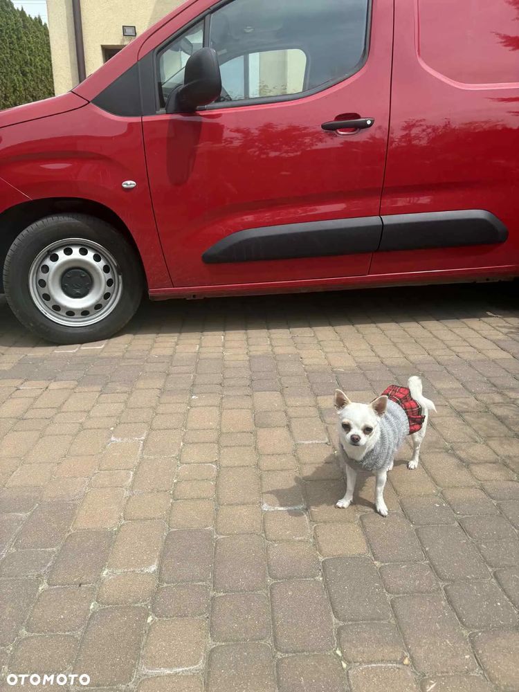 Citroën BERLINGO - 10