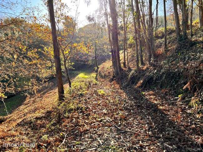 Terreno, 4 980 m², Ponte da Barca, Vila Nova de Muía e Paço Vedro de Magalhães - Grande imagem: 5/7