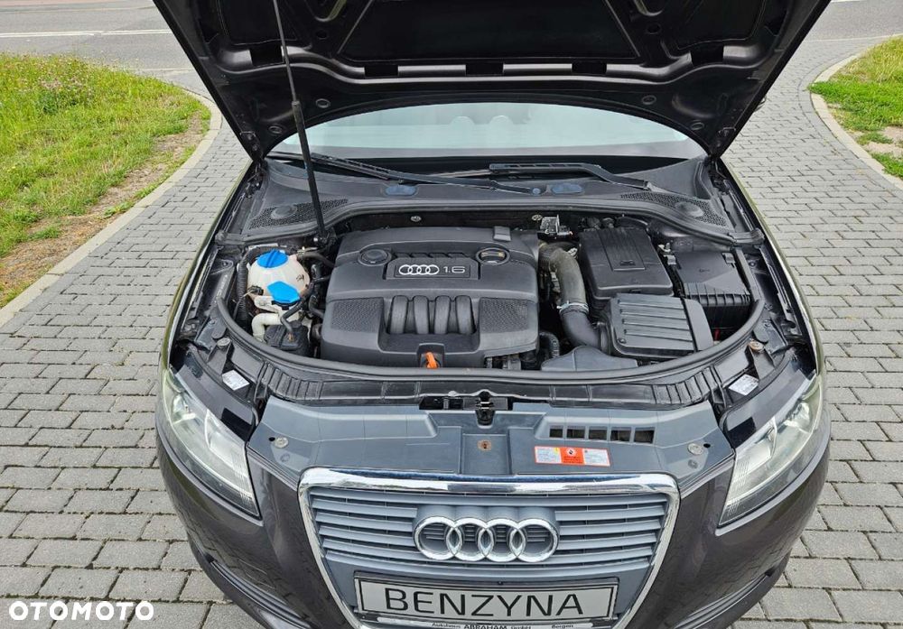 Audi A3 3-drzwiowe - 13