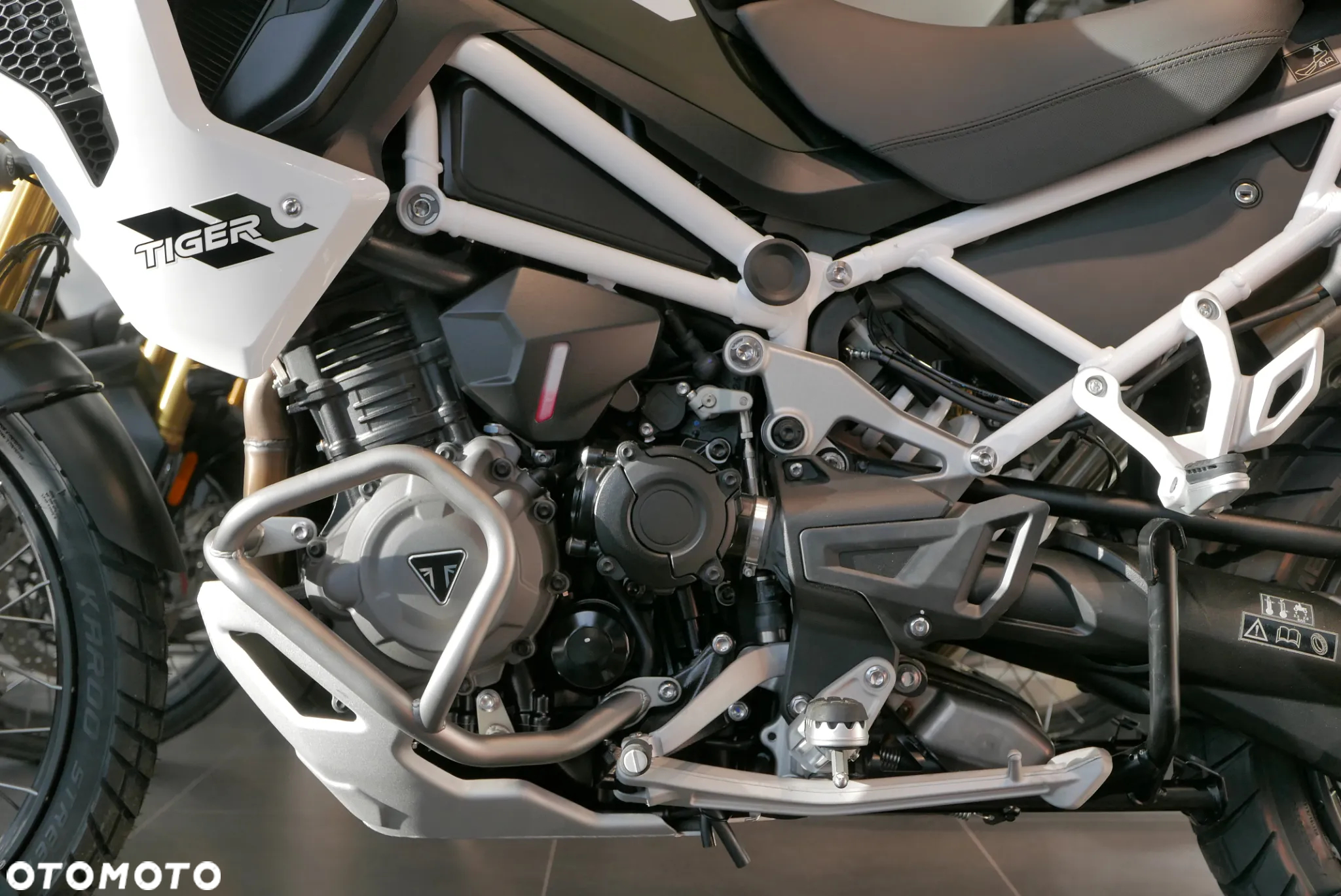 Triumph Tiger - 5