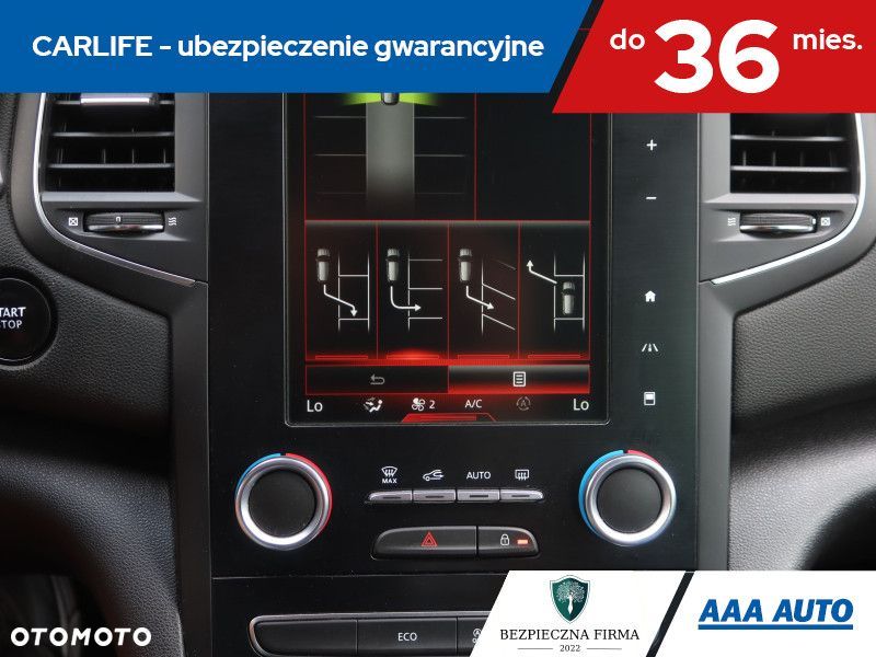 Renault Megane - 19