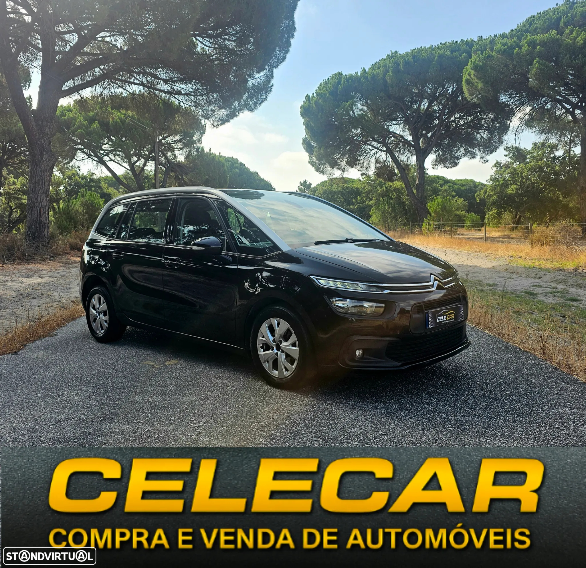Citroën C4 Grand Picasso 1.6 BlueHDi Feel - 2