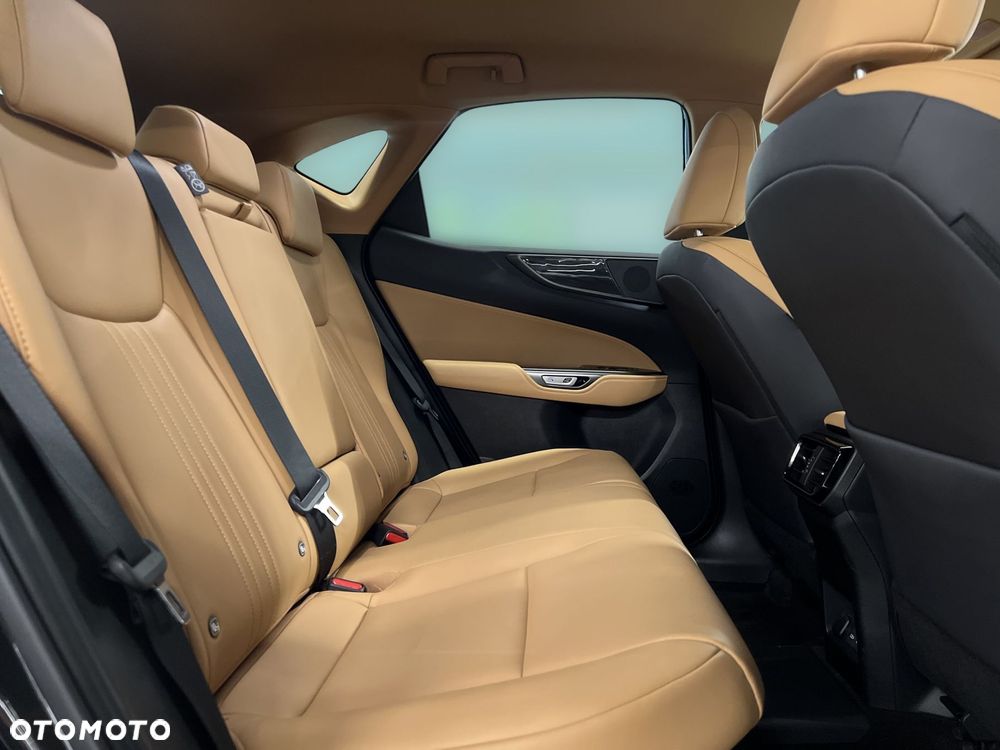 Lexus NX - 13