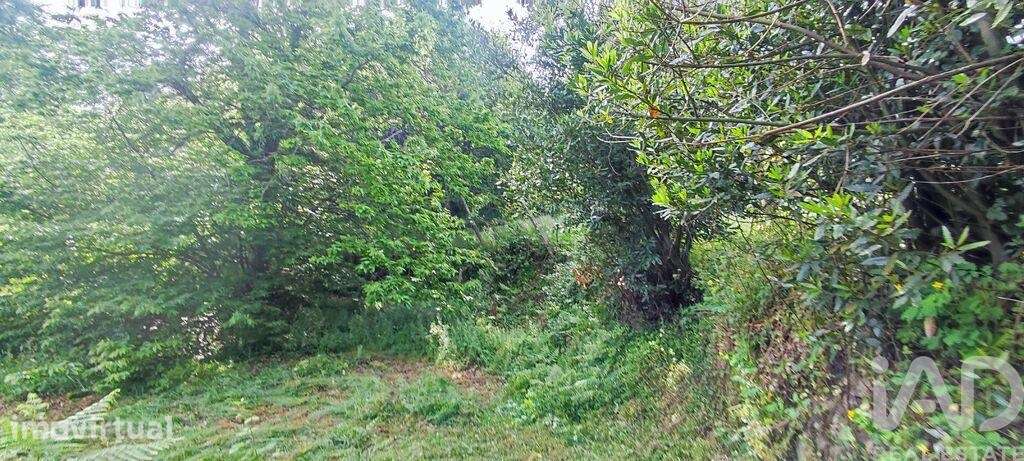 Terreno em Loivo - Grande imagem: 4/6