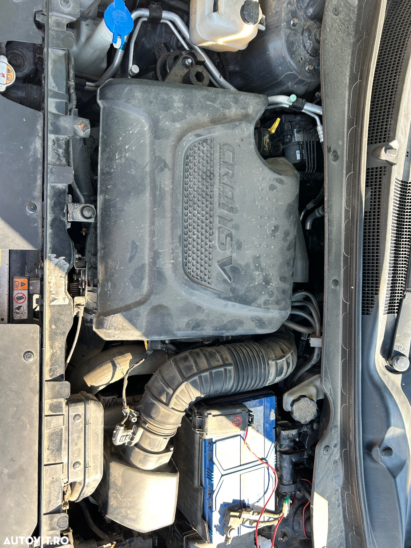 Kia Sportage - 4