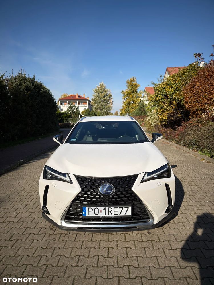 Lexus Ux 2019 photo 3