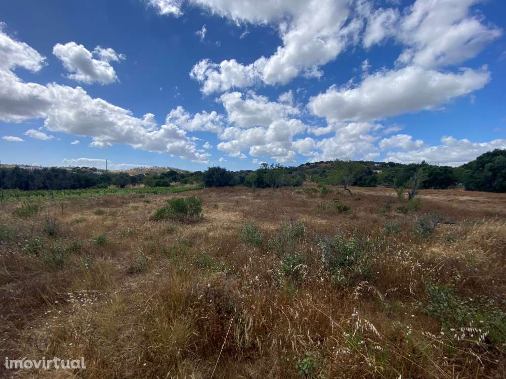 Terreno Misto com Ruína -  Barão de São Miguel, Vila do Bispo - Grande imagem: 2/24