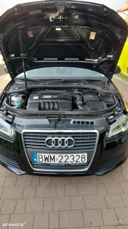Audi A3 3-drzwiowe 1.6 Ambition - 9