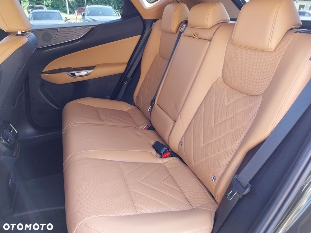 Lexus NX - 15