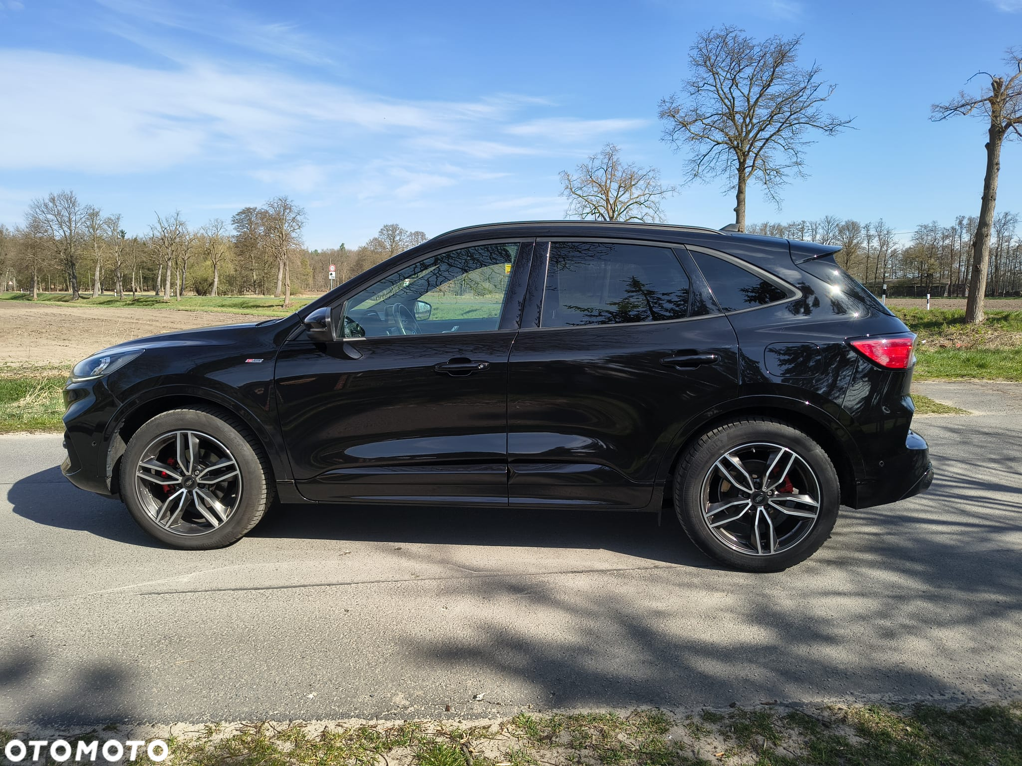 Ford Kuga 2.0 EcoBlue 4x4 ST-LINE X - 5