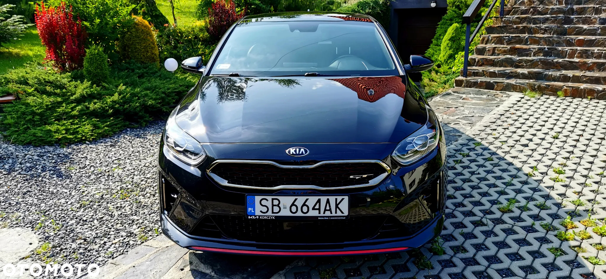 Kia ProCeed 1.6 T-GDI GT DCT - 8