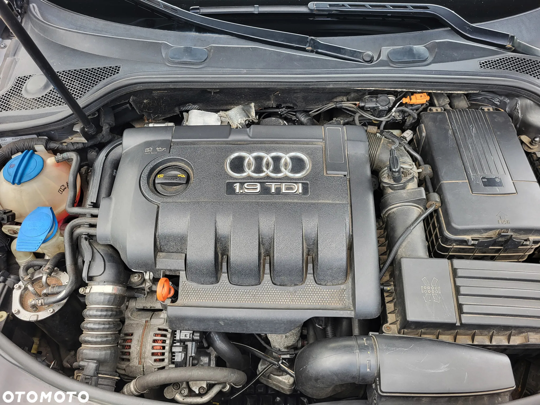 Audi A3 - 15