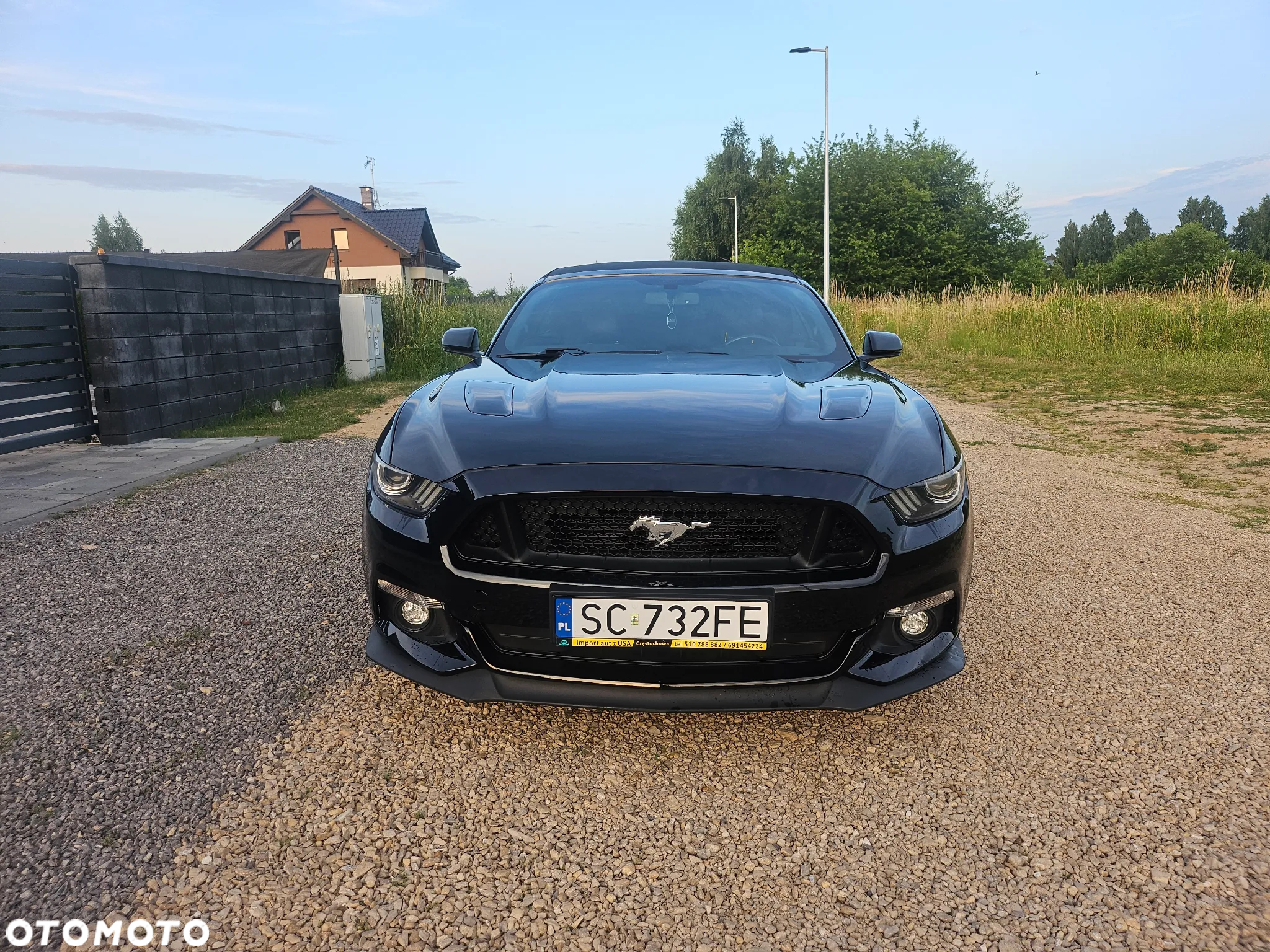 Ford Mustang - 6