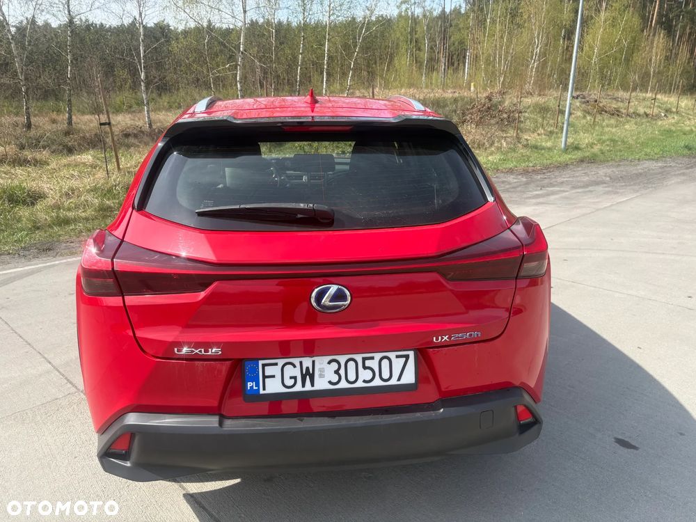 Lexus UX - 17
