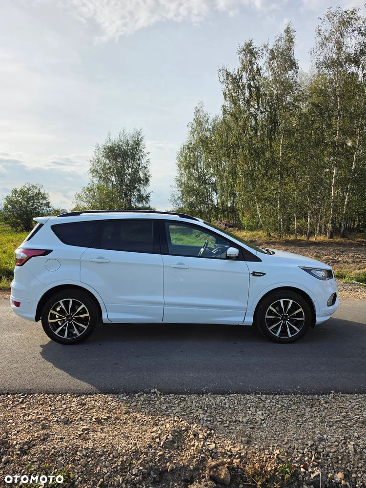 Ford Kuga 2019 photo 4